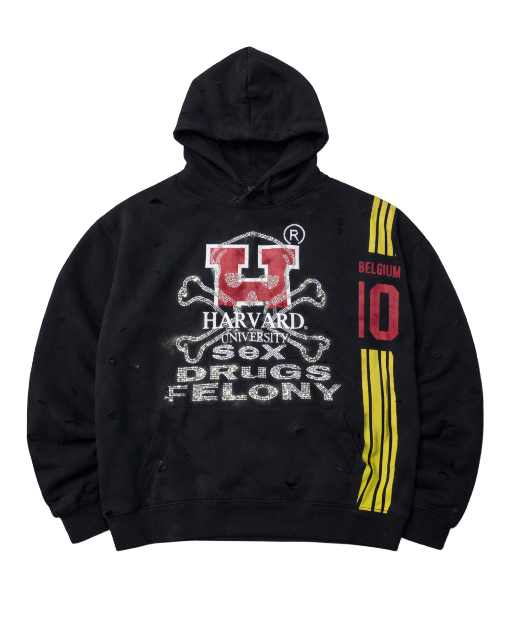 HARVARD SDF HOODIE